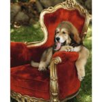 Bruce-Weber-All-American-XIV9-