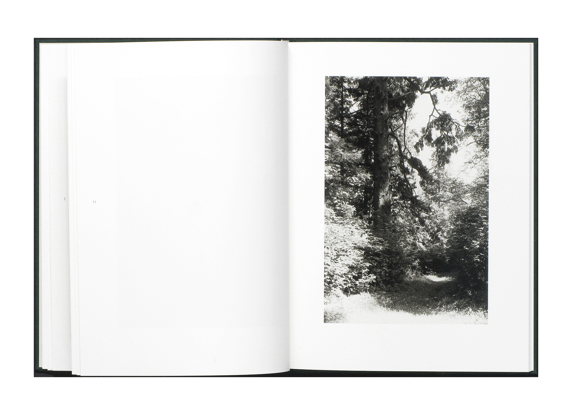 Robert Adams – An Old Forest Road – www.photobookstore.nl