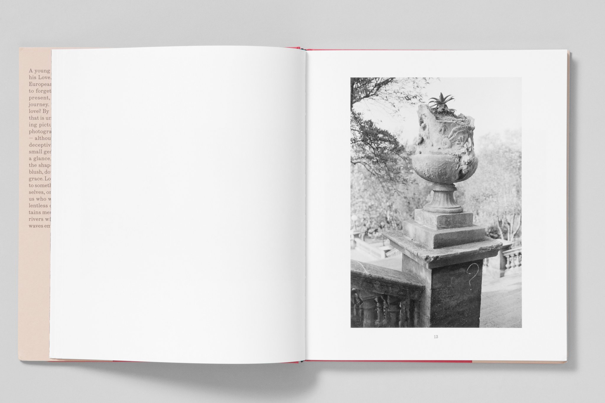 Sergio Purtell – Love's Labour – www.photobookstore.nl