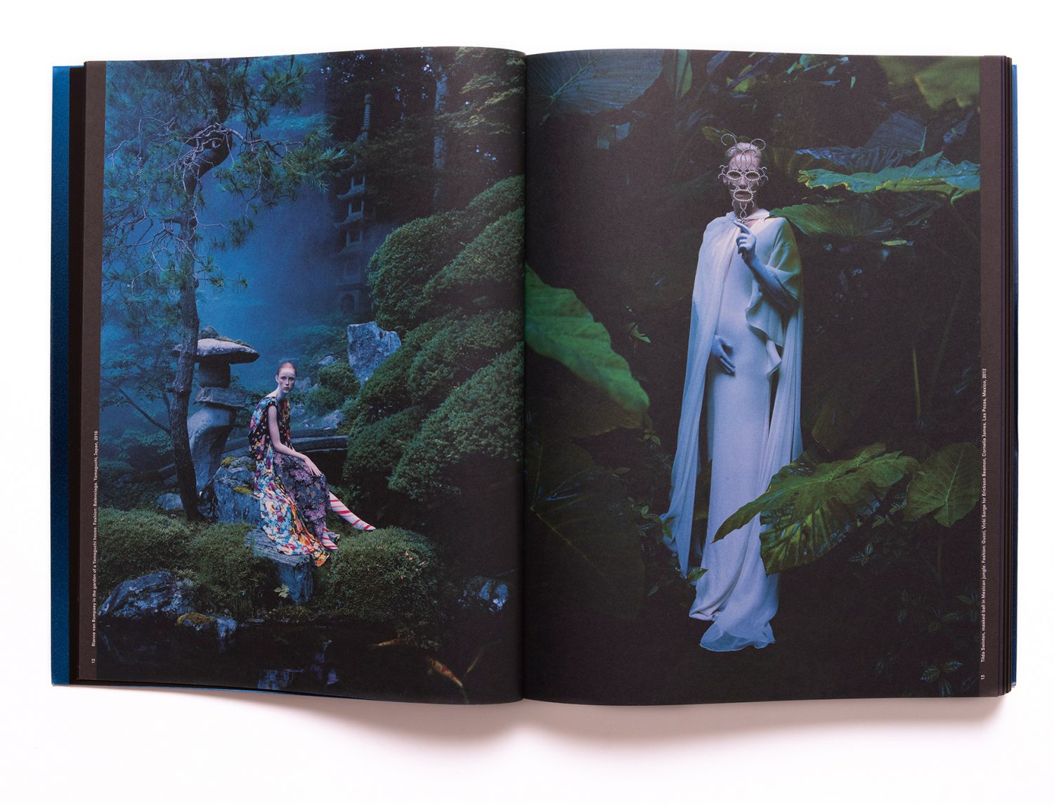 アート・デザイン・音楽 SHOOT FOR THE MOON Tim Walker アート・デザイン・音楽 SHOOT FOR THE MOON Tim Walker Tim