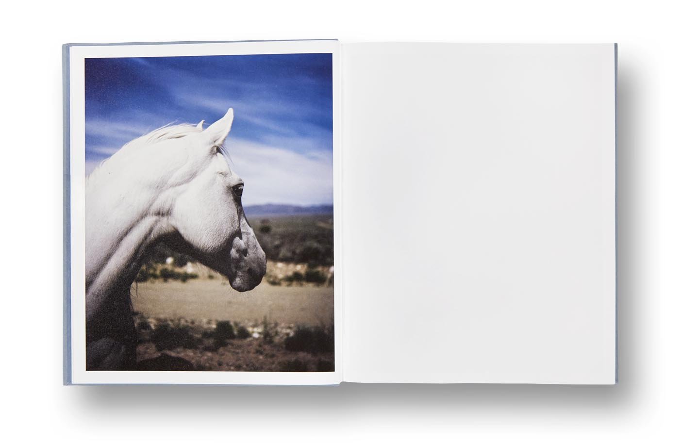 Gregory Halpern – ZZYZX – www.photobookstore.nl