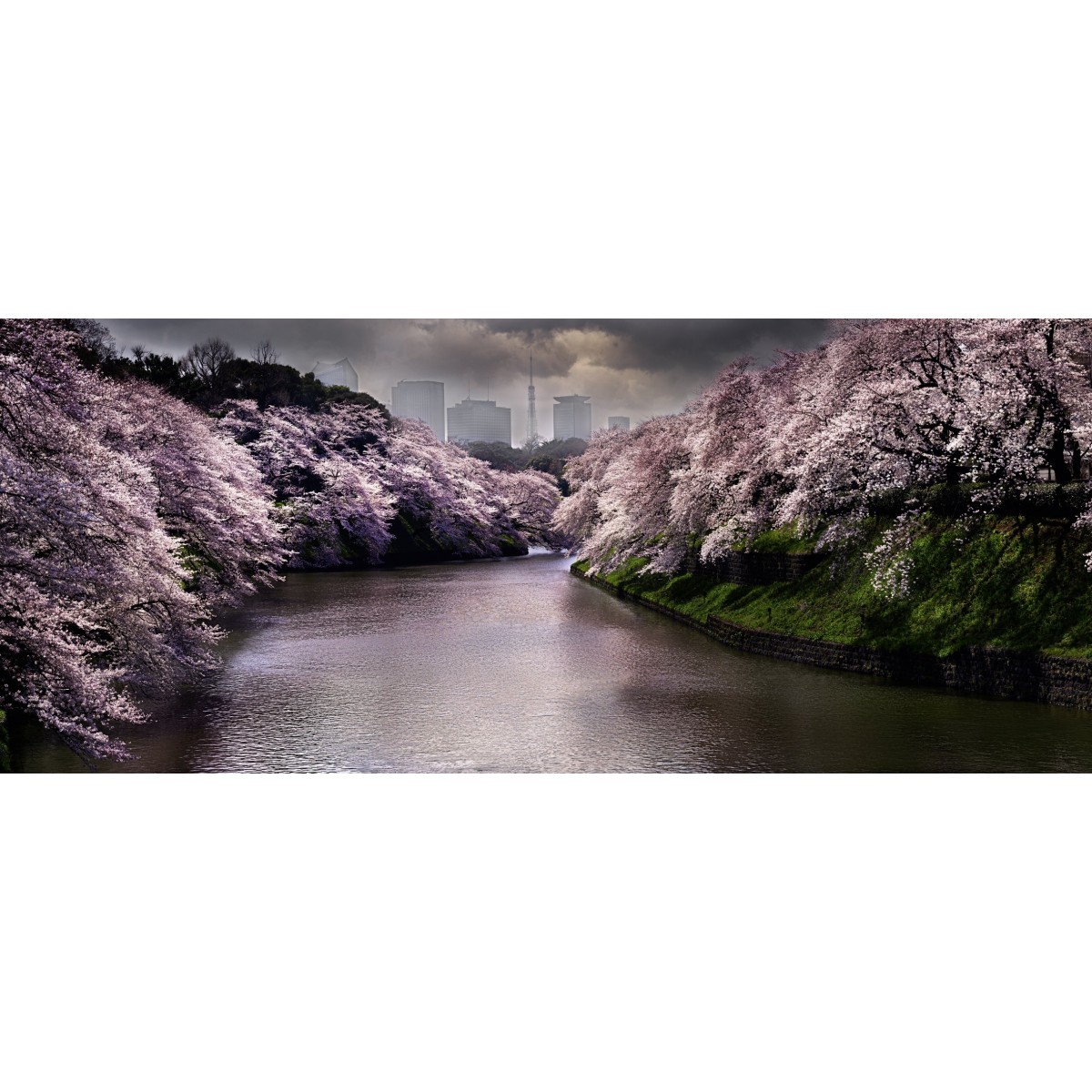 David Drebin – Chasing Paradise – www.photobookstore.nl