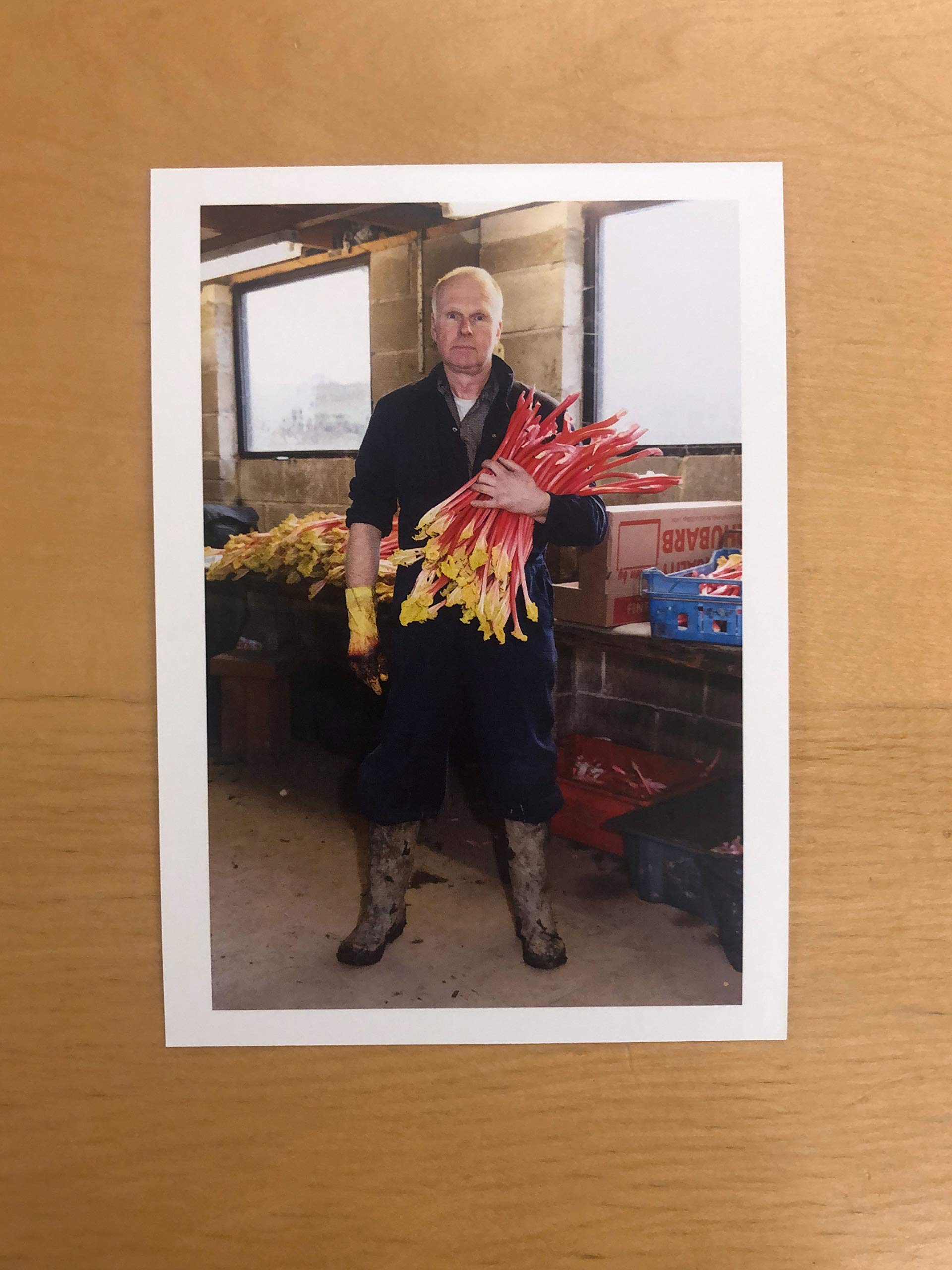 Martin Parr – Portraits Postcard Box – www.photobookstore.nl