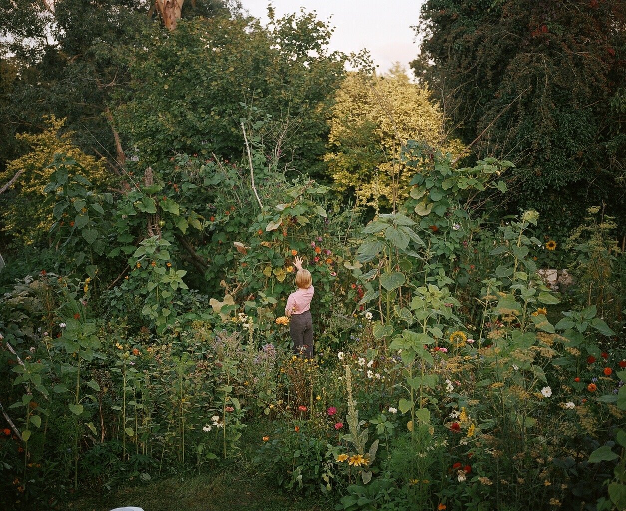 si-n-davey-the-garden-signed-www-photobookstore-nl