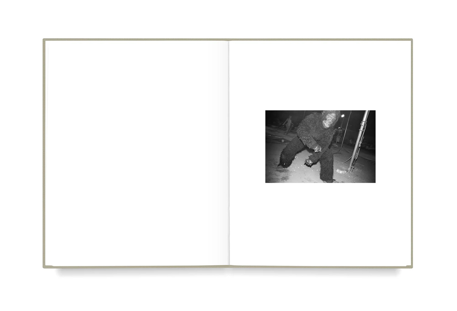 Mark Steinmetz – Taken from Light – www.photobookstore.nl