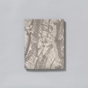 Dylan Hausthor - What The Rain Might Bring