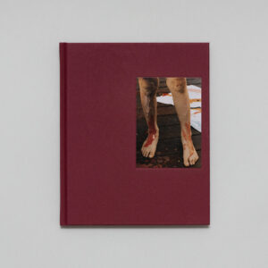 Lisa Sorgini - In-Passing