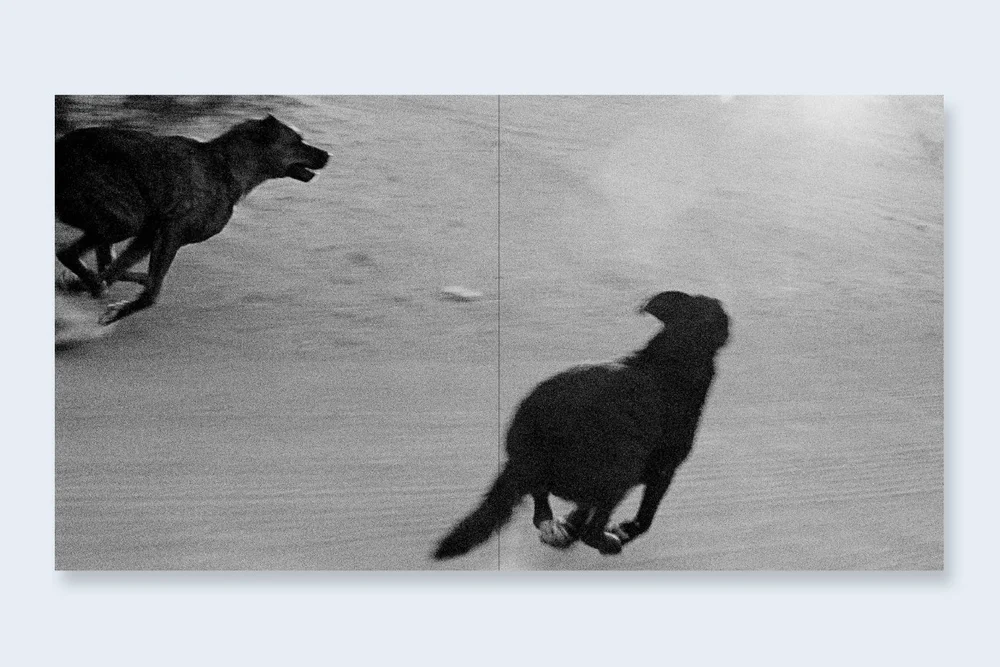 John Divola – Dogs Chasing My Car in the Desert – www