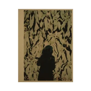 Anouk Griffioen - DRWNG PHTGRPH RCHV