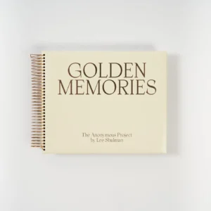 The Anonymous Project / Lee Shulman - Golden Memories